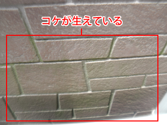 横浜市青葉区　外壁点検　コケが生えている