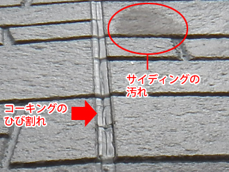 横浜市青葉区　外壁点検　コケが生えている