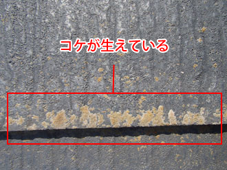 横浜市青葉区　屋根点検　コケが生えている