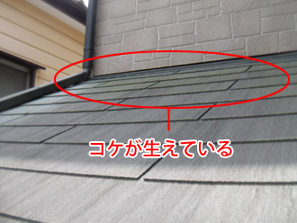 横浜市青葉区　屋根点検　コケが生えている